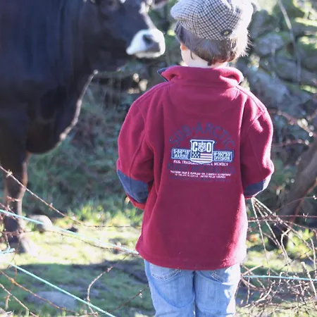 Refugio Terras Altas Hébergement de vacances Ribeira de Pena