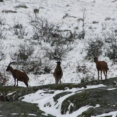 Refugio Terras Altas *