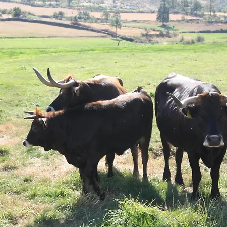 Refugio Terras Altas בית נופש ריביירה דה פנה