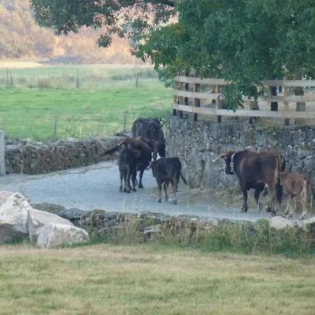 Refugio Terras Altas