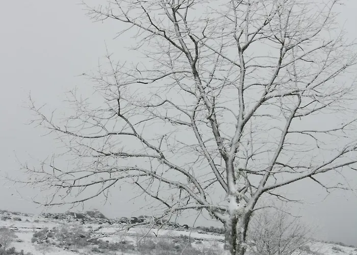 Dom wakacyjny Refugio Terras Altas