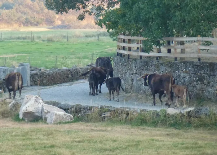 Refugio Terras Altas